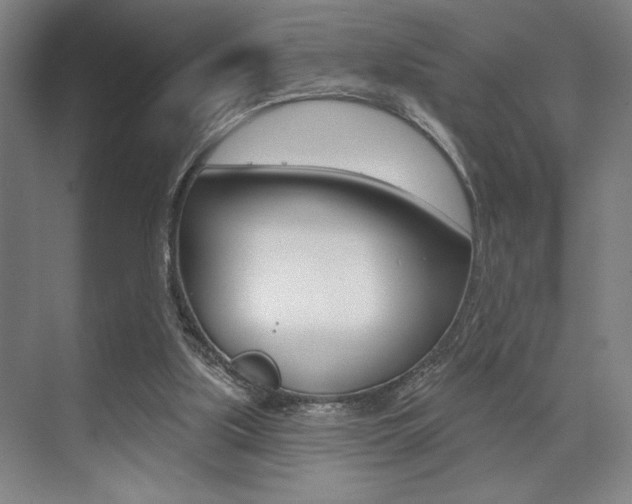 X0000073480059200607310901