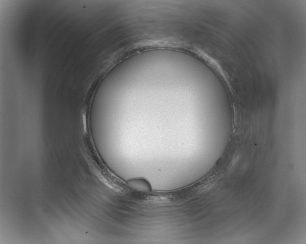 X0000073480061200607310901