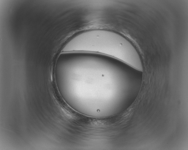 X0000073480062200607310902