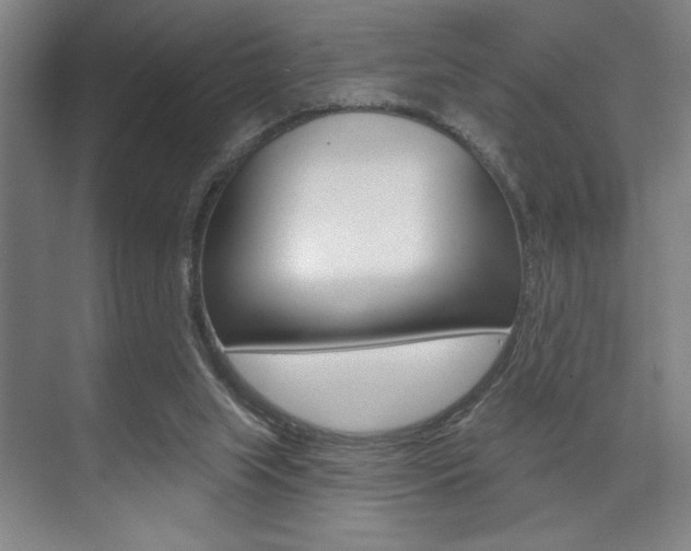 X0000073480063200607310902