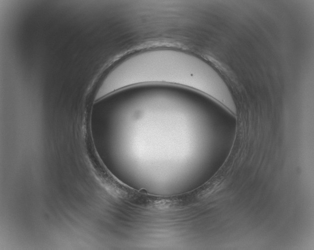 X0000073480064200607310902