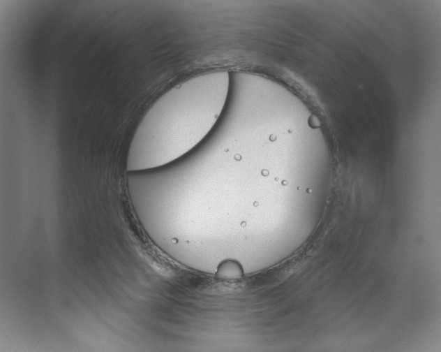 X0000073480065200607310902