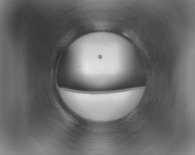 X0000073480066200607310902