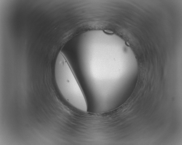 X0000073480071200607310902