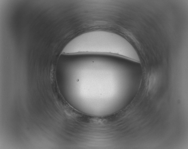 X0000073480073200607310902