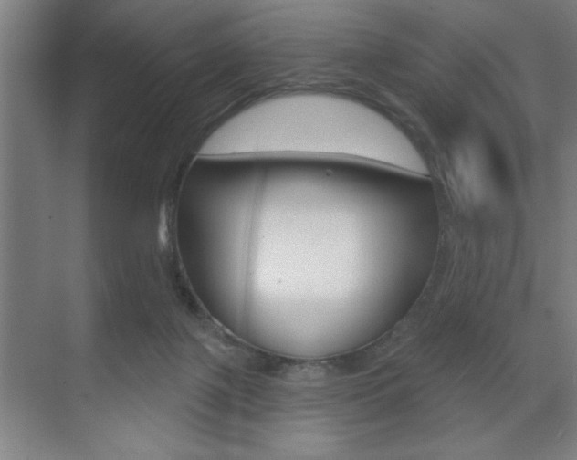 X0000073480075200607310902