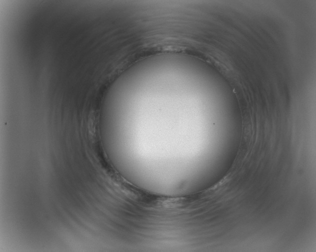 X0000073480078200607310902