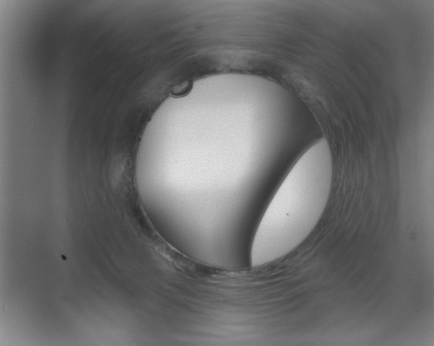 X0000073480079200607310902