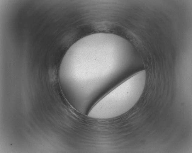 X0000073480081200607310902