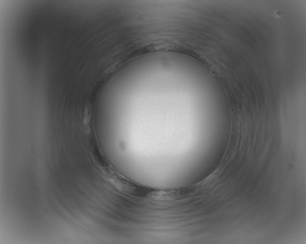 X0000073480082200607310902