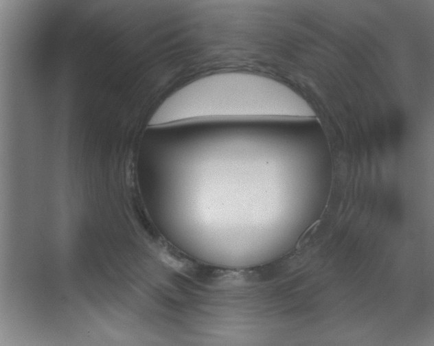 X0000073480083200607310902