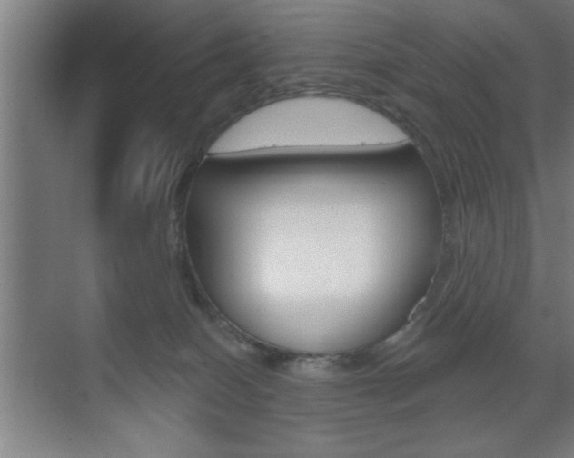 X0000073480086200607310902