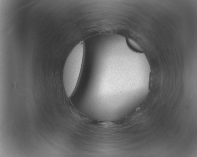 X0000073480087200607310902