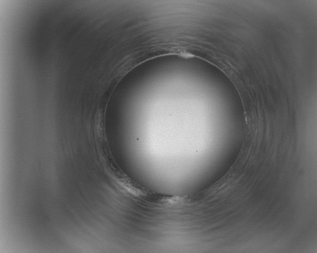 X0000073480092200607310902