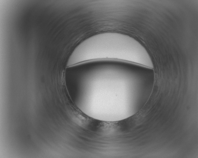 X0000073480093200607310902