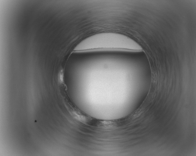 X0000073480095200607310902