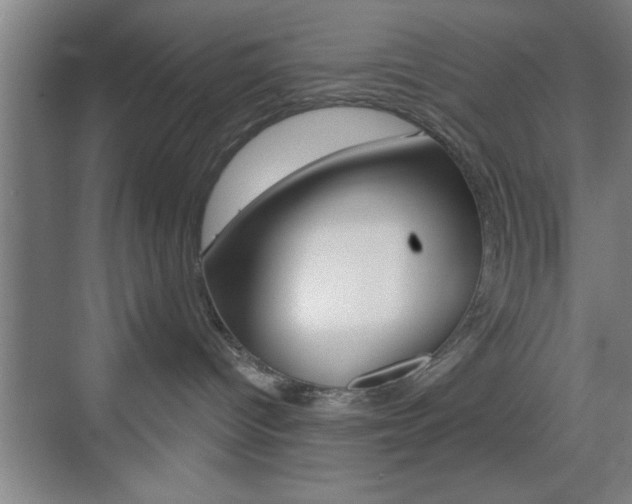 X0000073480096200607310902