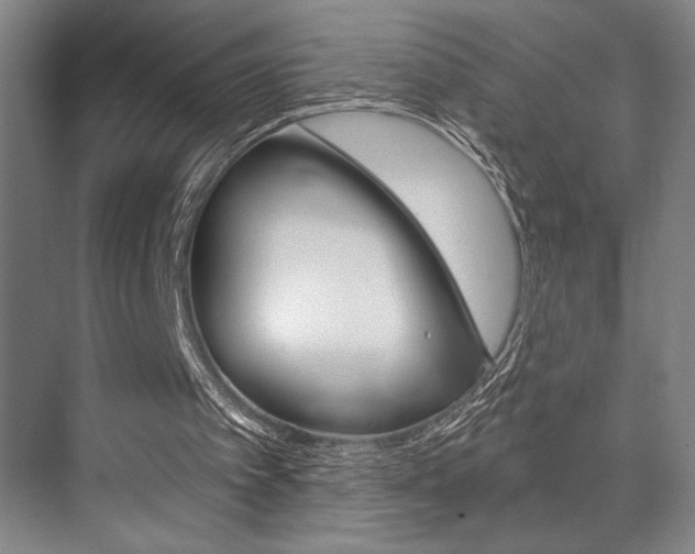 X0000073480097200607310901