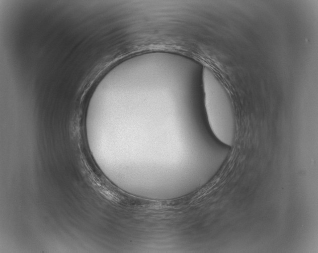 X0000073480098200607310901