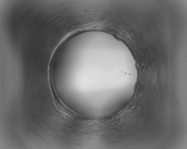 X0000073480100200607310901