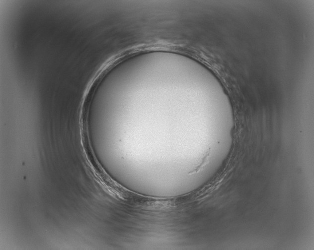 X0000073480102200607310901