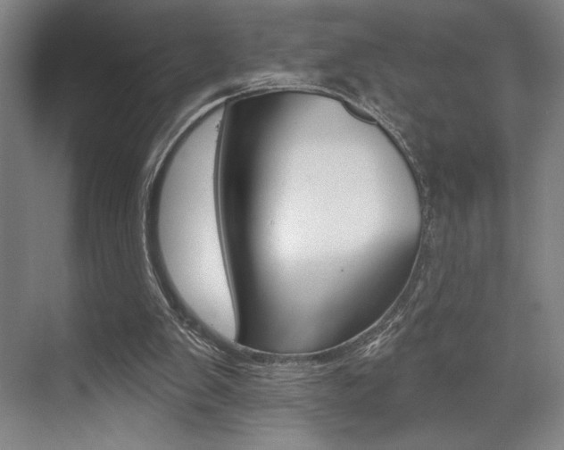 X0000073480103200607310901