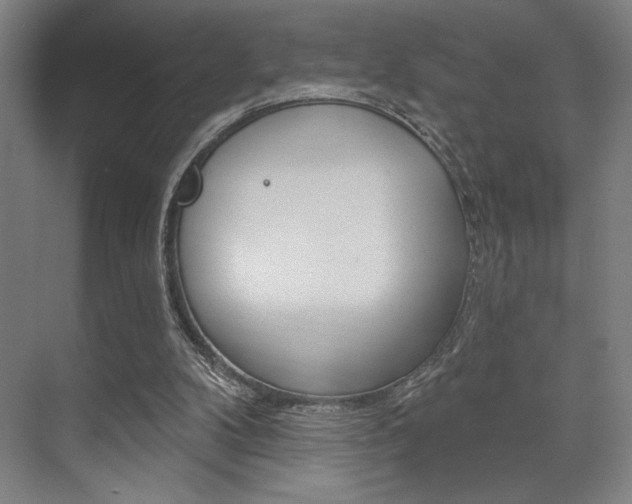 X0000073480104200607310901