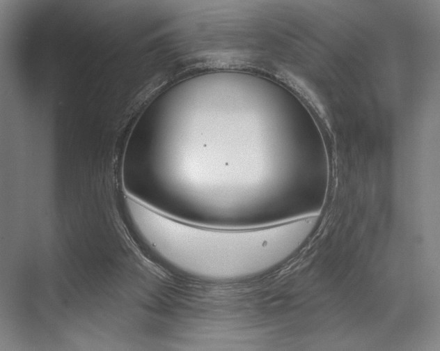 X0000073480105200607310901