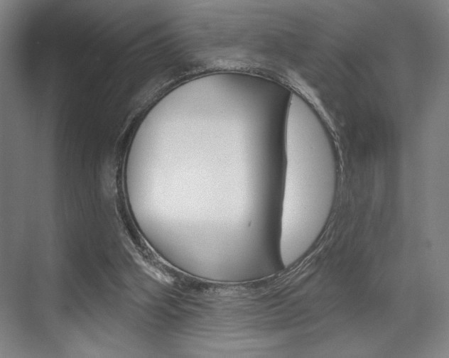 X0000073480106200607310901