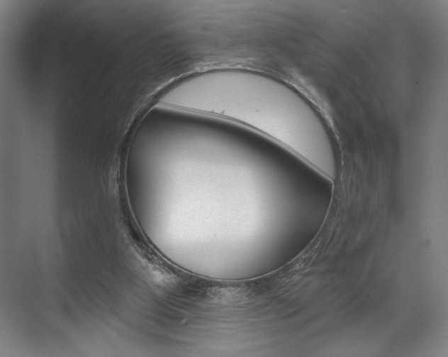 X0000073480107200607310901