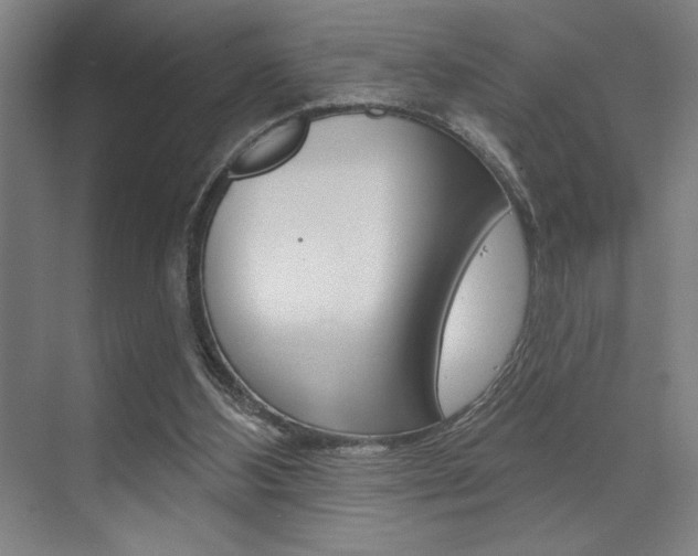 X0000073480108200607310901