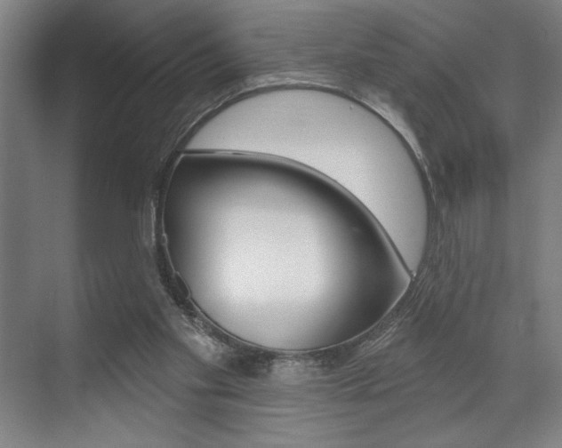 X0000073480109200607310901