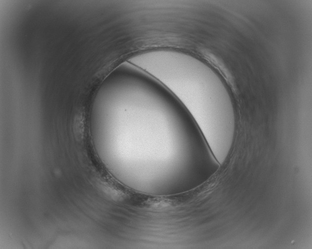 X0000073480113200607310901