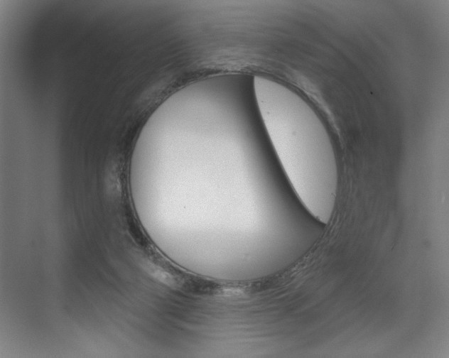 X0000073480114200607310901