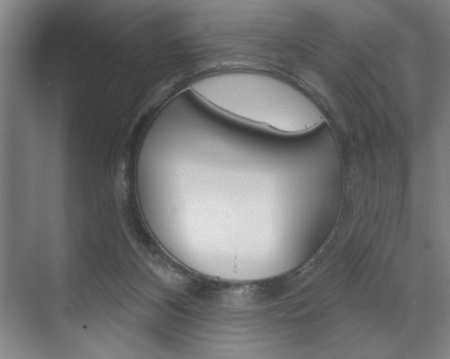 X0000073480116200607310901