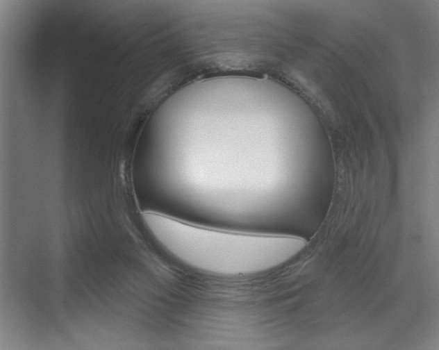 X0000073480117200607310901