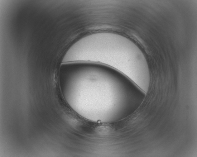 X0000073480119200607310901