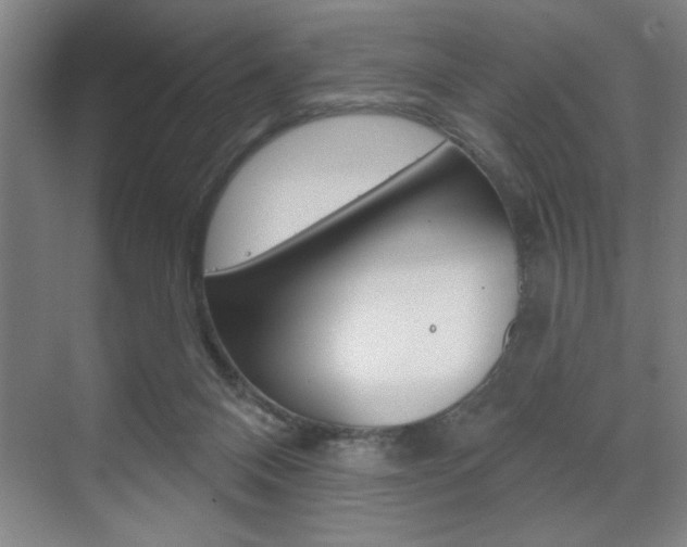 X0000073480120200607310901