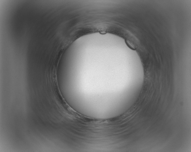 X0000073480122200607310901