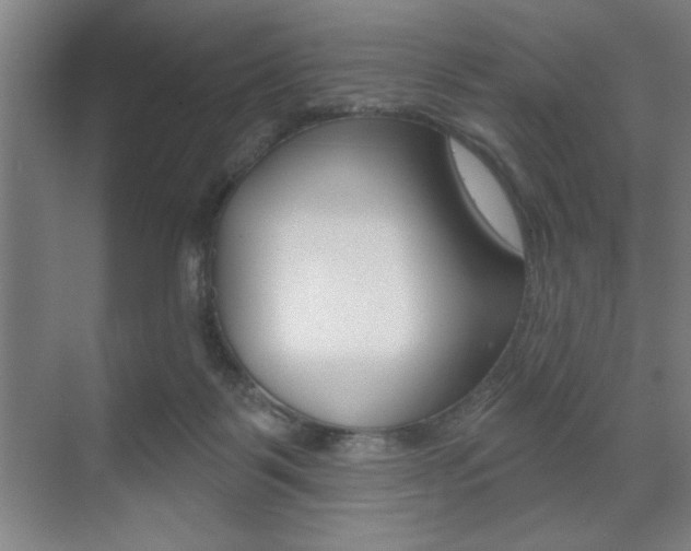 X0000073480123200607310901