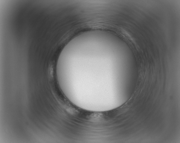 X0000073480124200607310901