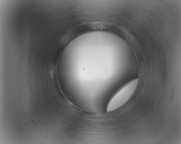 X0000073480125200607310901