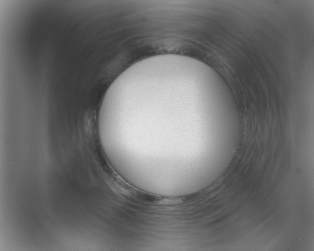 X0000073480126200607310901