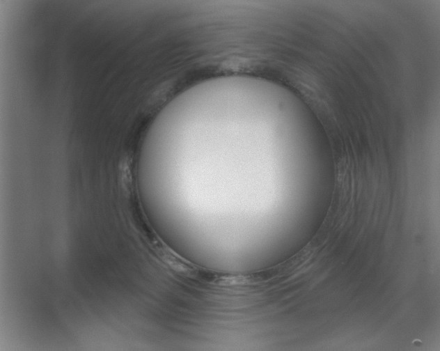 X0000073480127200607310901