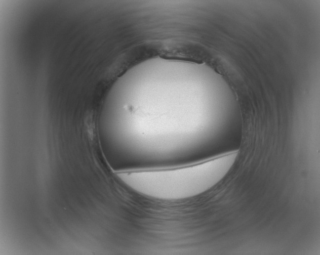 X0000073480129200607310901