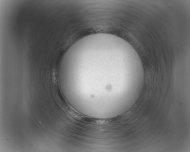 X0000073480130200607310901