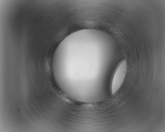 X0000073480131200607310901