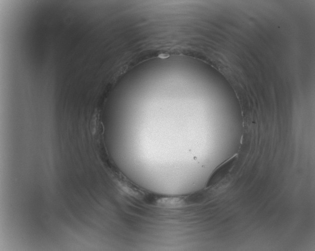 X0000073480133200607310901