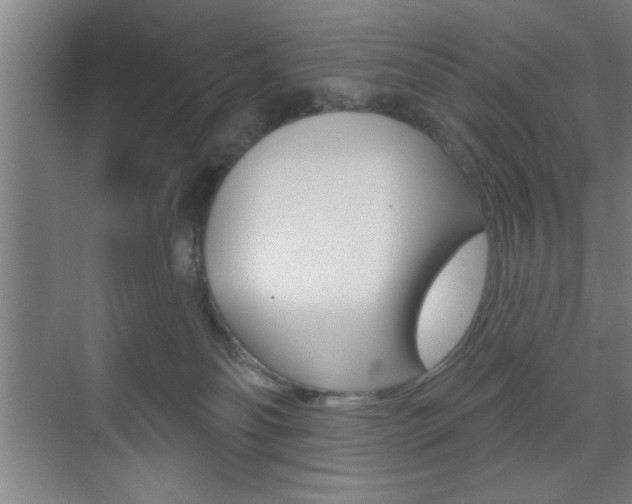 X0000073480134200607310901