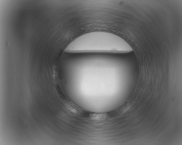 X0000073480135200607310901